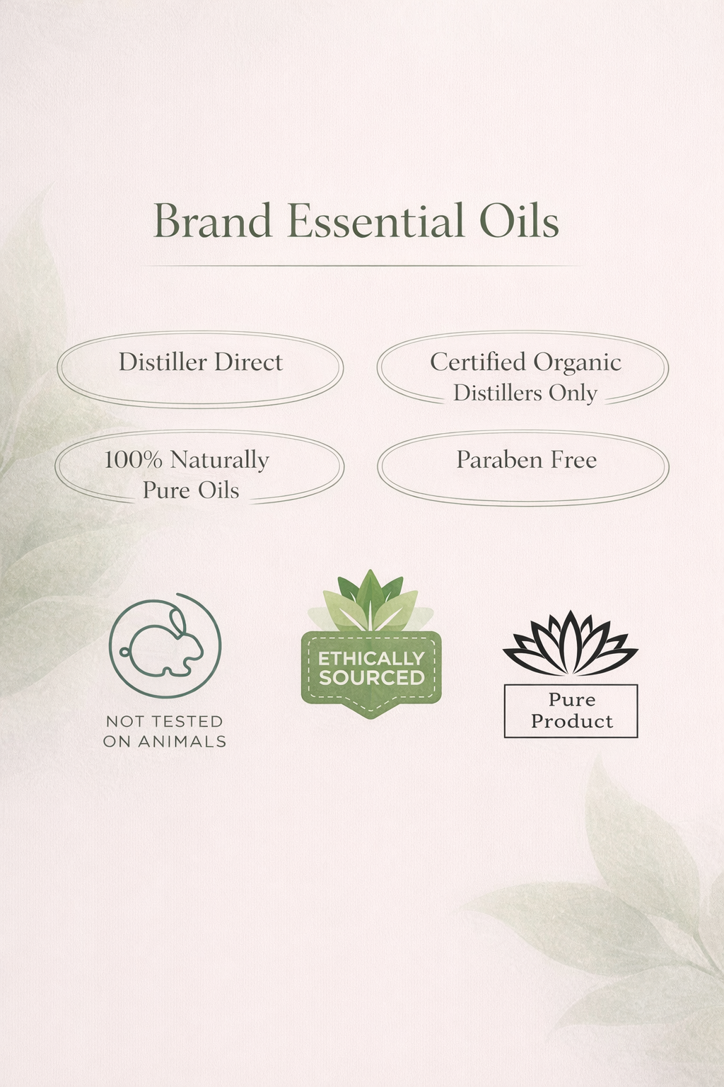 Juniper Berry Whipped Face & Body Lotion - Salt N Sage 